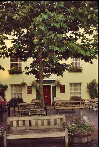 Totnes Plains