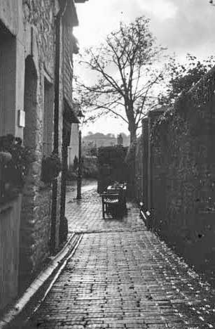 Totnes Ramparts