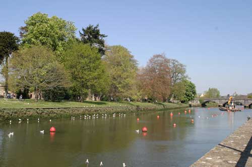 Totnes' Vire Island